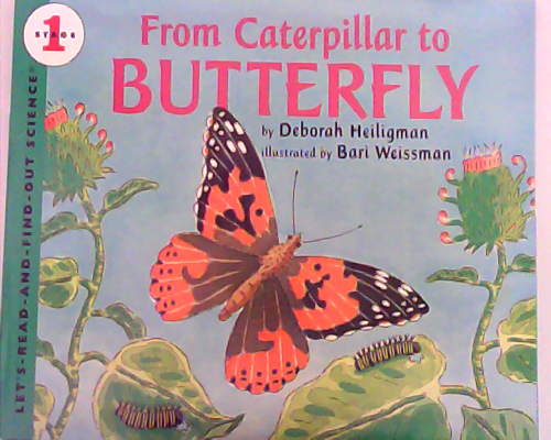 Let‘s read and find out science：From Caterpillar to Butterfly  L2.9
